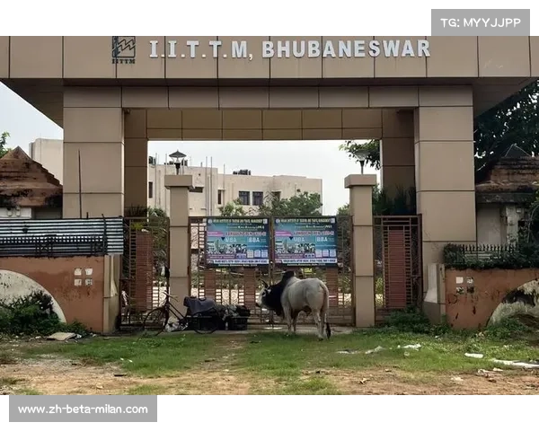 中国台北队晒出印度早餐球迷疑惑那两坨食物是什么东西